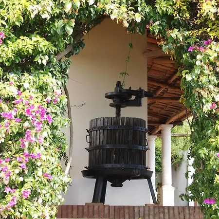 Casa Gemma 3* 拉默齐亚泰尔默