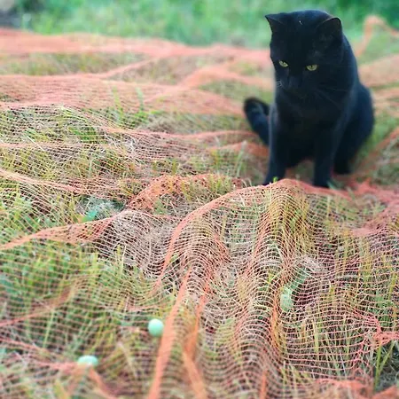 Casa Gemma Lamezia Terme