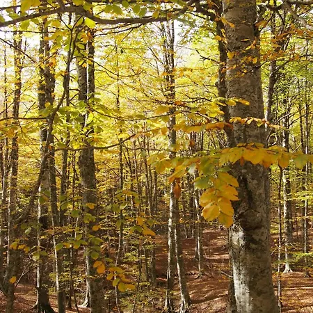 Casa Gemma Bed & Breakfast