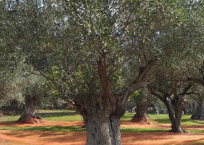 Casa Gemma 住宿加早餐酒店 拉默齐亚泰尔默