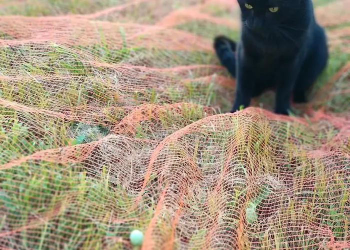 Casa Gemma 拉默齐亚泰尔默