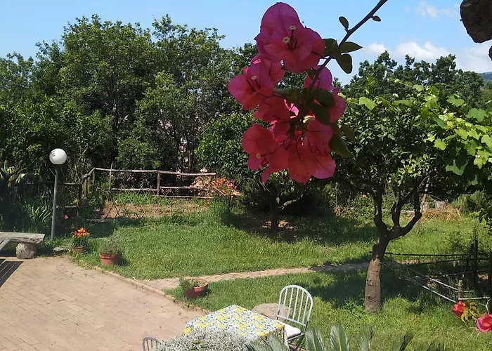 Casa Gemma 住宿加早餐酒店 拉默齐亚泰尔默